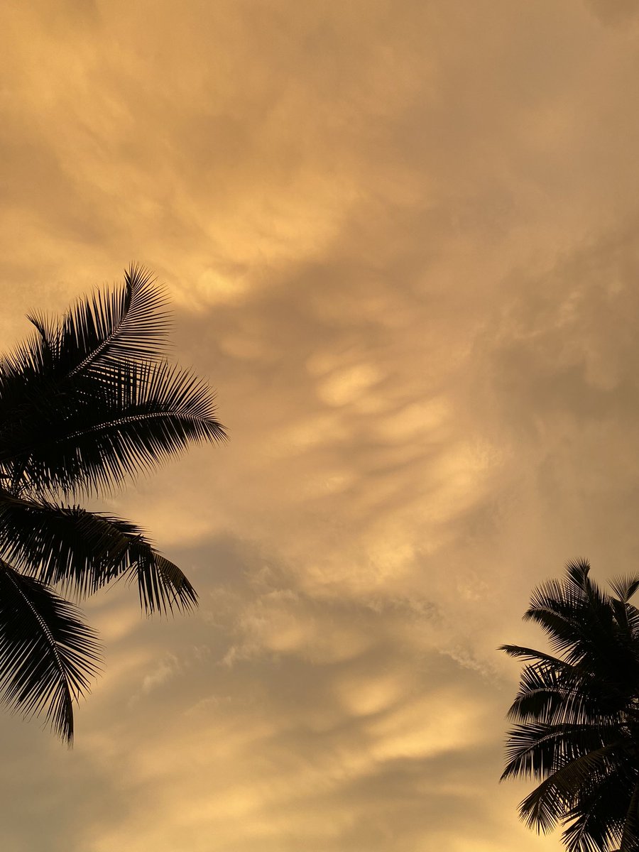 whosafeefa's tweet photo. i love sunsets so much https://t.co/YSXbk97bi7