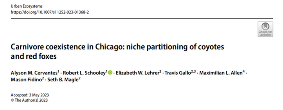 LPZ_UWI's tweet photo. With the presence of the Millennium park fox family, the publication of this paper is timely! In it, we investigate whether red foxes and coyote share (or don’t share) habitat throughout #Chicago! 🧵 1/9
https://t.co/RdN7a9kTkQ https://t.co/UFw81ctq30