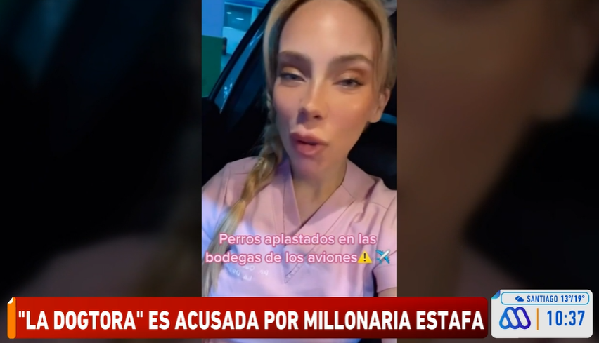 Mucho Gusto! on X: Exchica reality apodada La dogtora es acusada de  millonaria estafa: Cassandra Zamorano ofrece trasladar animales al  extranjero, solicitar adelantos del dinero y no realizar lo acordado.  #MuchoGustoMEGA https://t.co/IdfnrkhOsE /