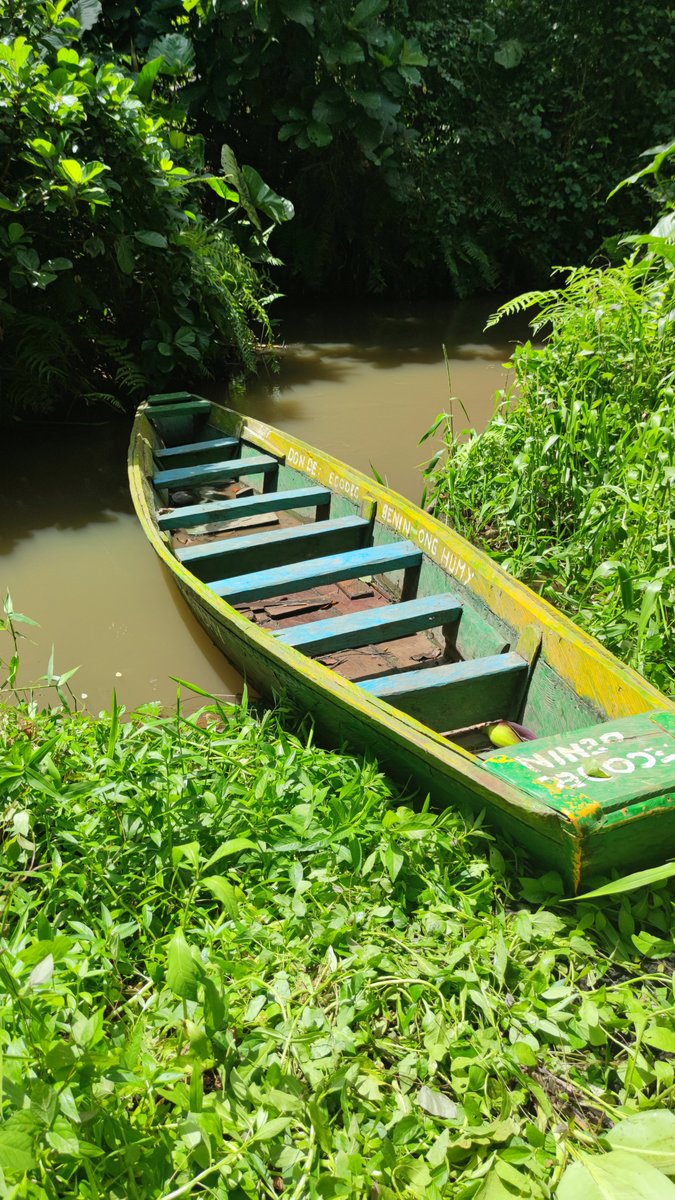 eTrees 🌱 tweet media