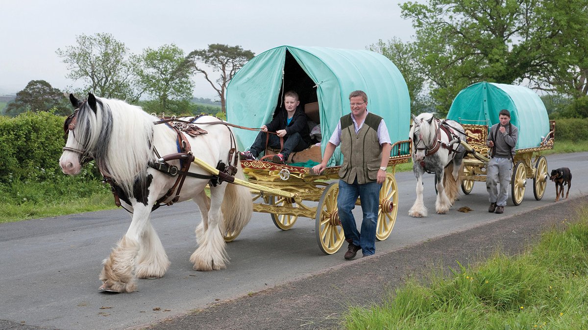 Visitors to Appleby Horse Fair asked how the event can be improved for horses trib.al/l1rkvvF