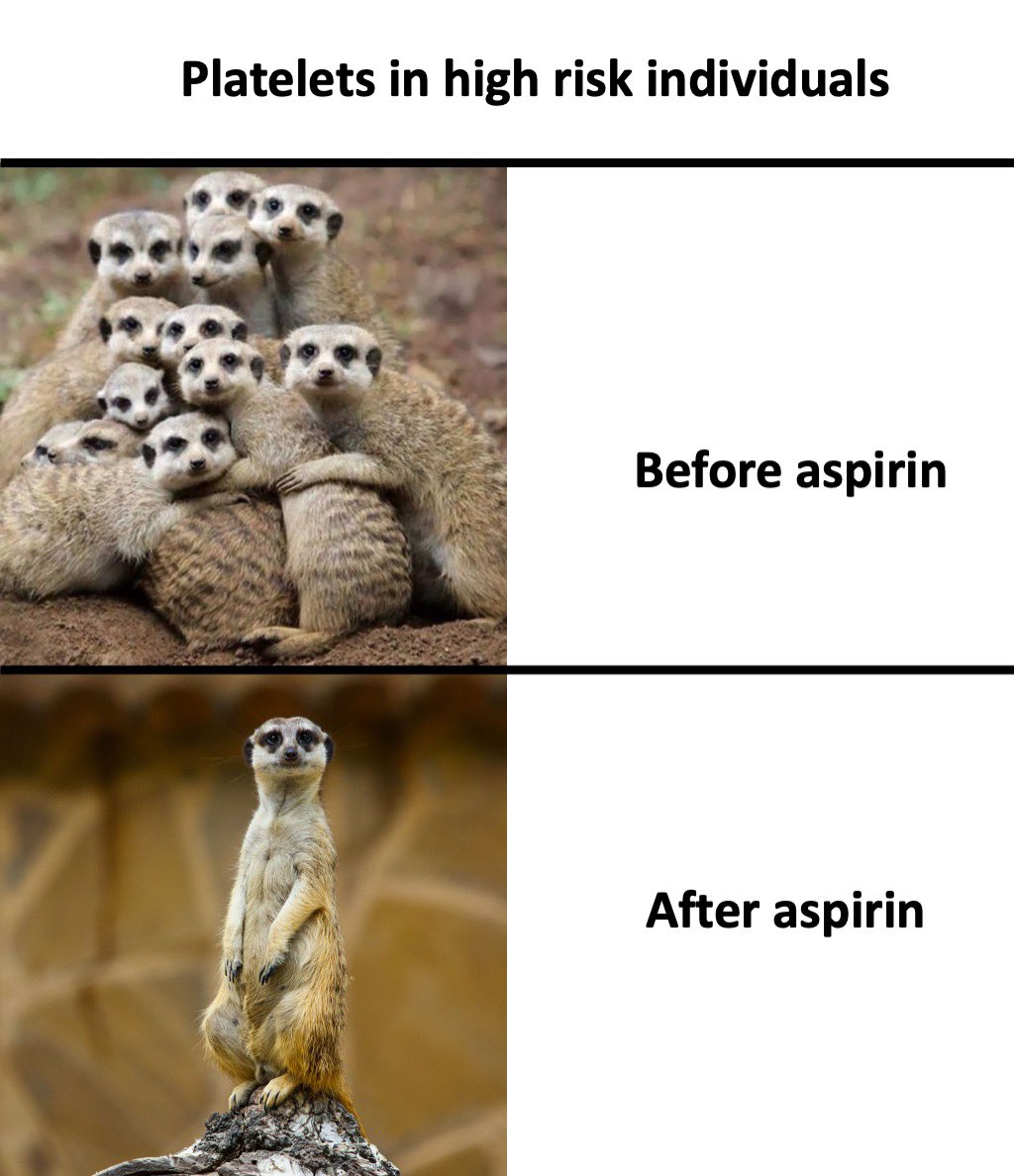 Lonely 😞

#pharmacology #MedStudentTwitter #MedTwitter