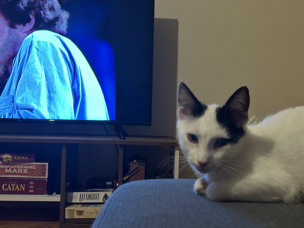 Şenceylik halamın yeni şarkısı çıkmış bu adam hala caz dinletiyo valla çizicem suratını ya