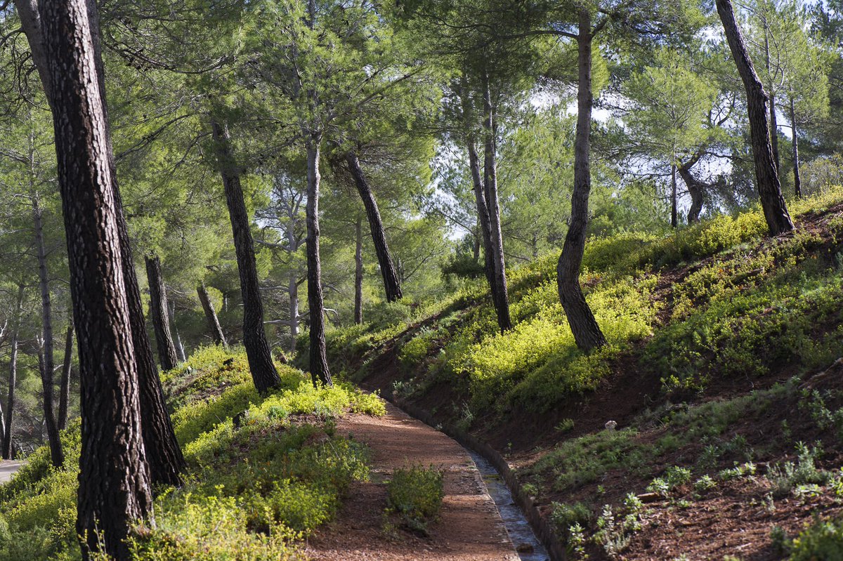 Everything is better in the mountains ⛰️😌
📍 Sierra Espuña

#RegiondeMurcia #CostaCalida #VisitRegiondeMurcia