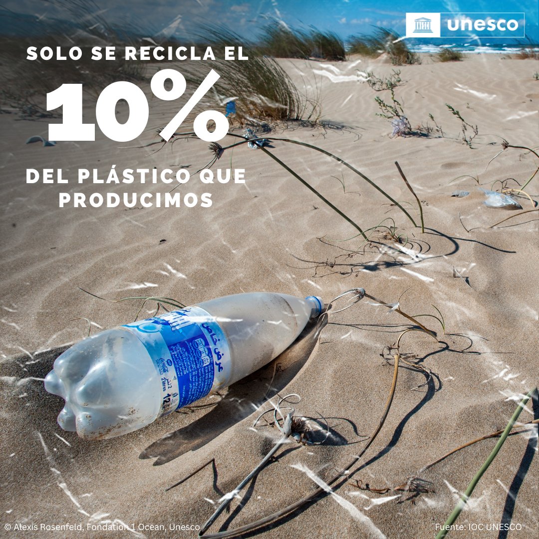 🚨 Solo el 10% del plástico que generamos se recicla, mientras que el resto contribuye a la contaminación del aire o termina en nuestro océano.
Las especies marinas no pueden seguir sufriendo las consecuencias de nuestras acciones.
unesco.org/es/ocean