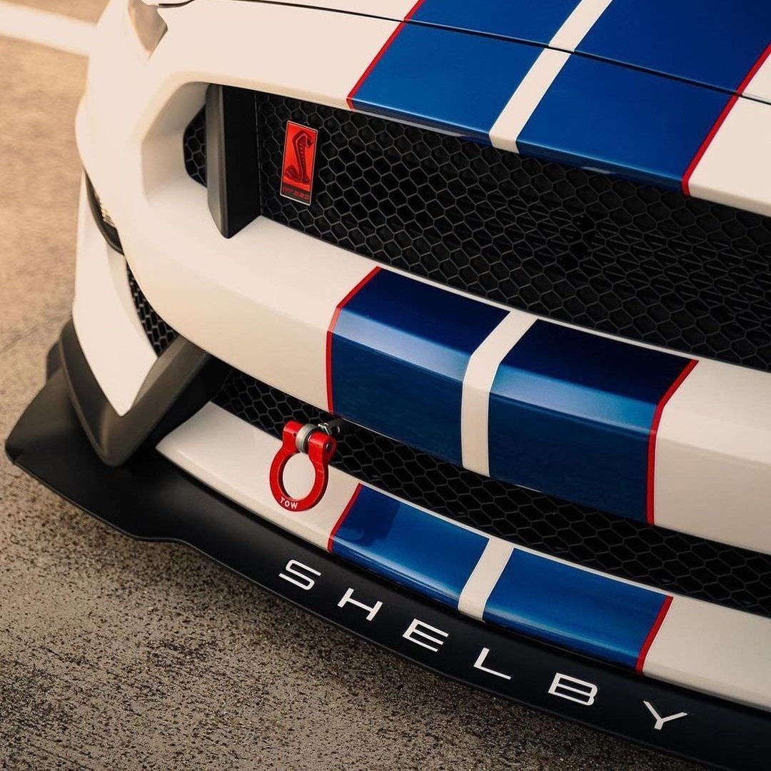 BonFat5's tweet image. #NewProfilePic