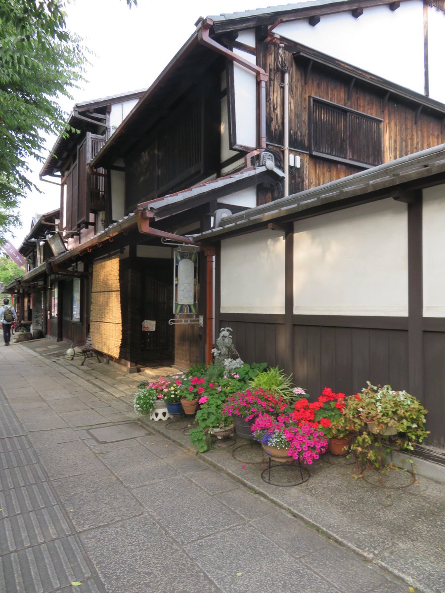 城下町は景観が統一されてて風情がありました🌿 The castle town had a