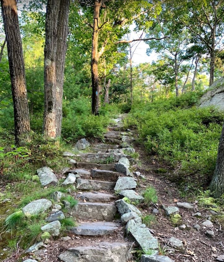 Today is a great day to get out into nature by checking out Skyline Park! This trail is part of the Blue Hills Reserve and is only a few minutes away from the community!

#AlisterDeco#Millcreekres#Hiking#Trail#Whattodo