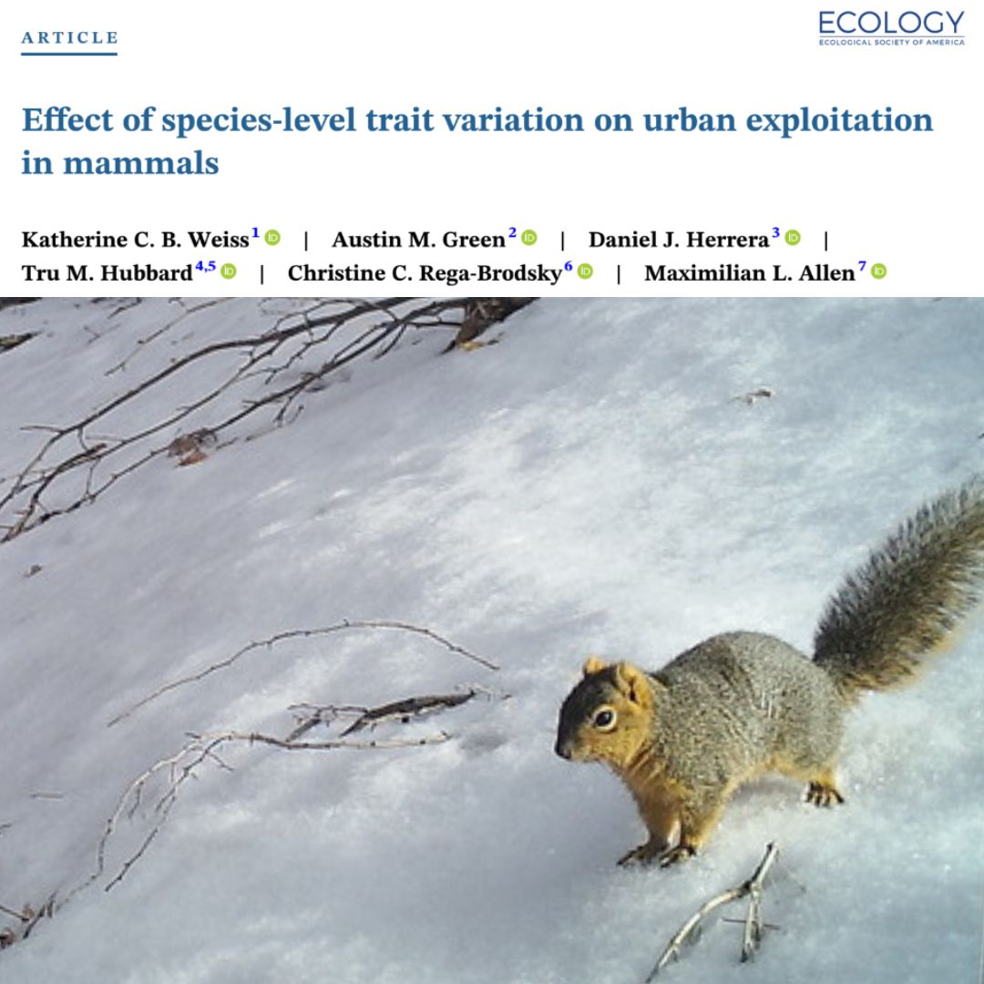 In a recent publication, WWW co-lead Austin Green et. al look at the effects of urbanization on wildlife, and how specific traits may help or hinder a species’ ability to occupy urban areas. 🐿️

Read the full publication here: ow.ly/OQQx50OB8r3