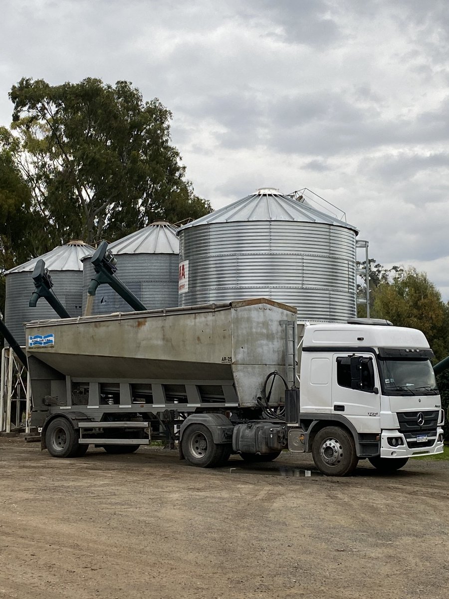 AgronomiaRecari's tweet photo. Campaña 2023 en marcha 🌾!! Fertilizantes @COFCOINTL Trigo @NideraSemillas #baguette #campo https://t.co/36FCpPOQRB
