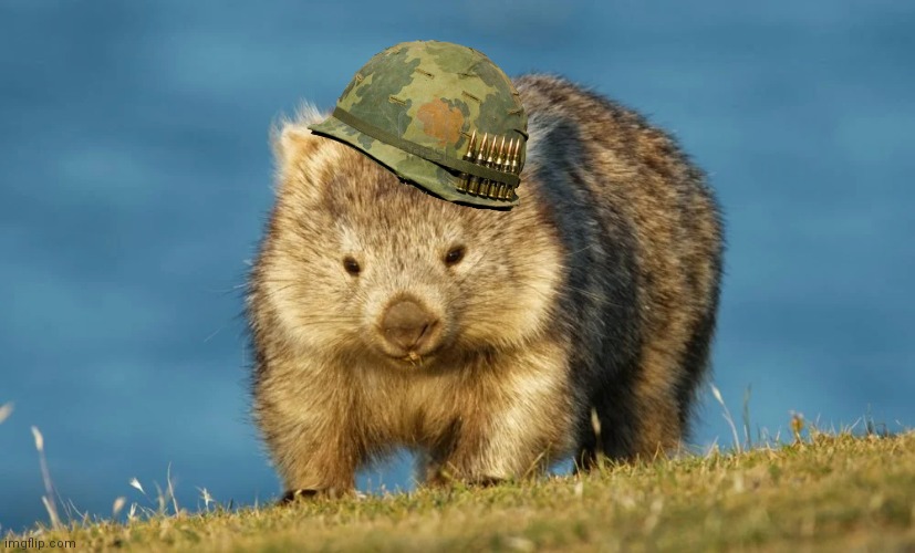 medgoblin 💙 on Twitter: "Вомбат батяня Батяня вомбат Ти носик не прятав ...