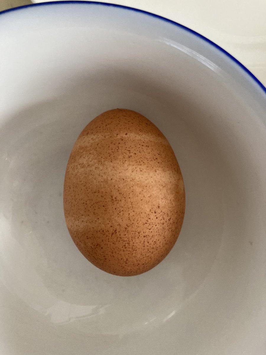 theSLAMblog's tweet image. I would like to speak to the zebra who laid this egg.