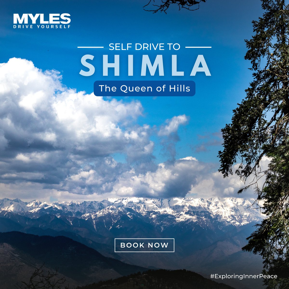 Shimla: The Queen of Hills!🏔🚗
#Shimla #Selfdrive #Mylescars
Book Now> mylescars.com
#travel #picoftheday #carsubscription #trendsetter #sustainable #flexible #travelwithMyles #SelfDrive #secondhand #carsoninstagram #carswithoutlimits #carstagram #Myles #newcar #cars