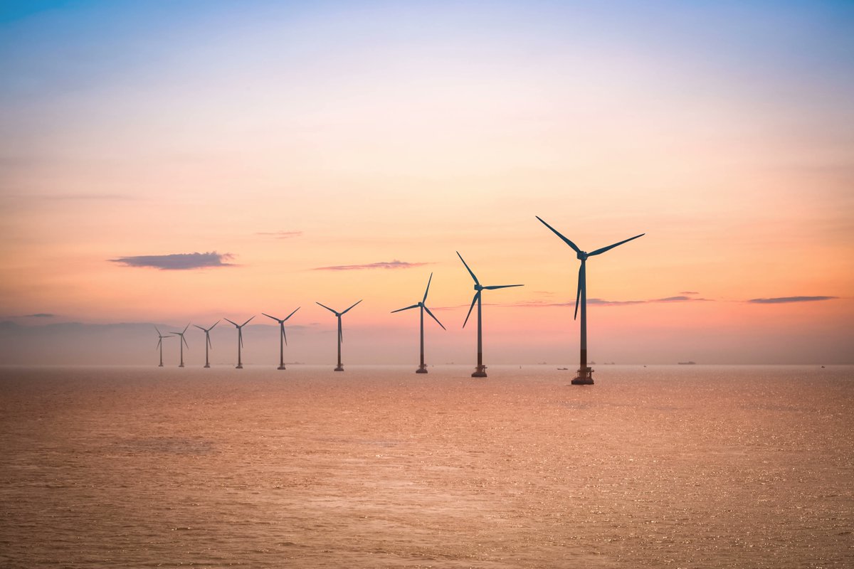 #FunFactFriday: A new two month long study finds that offshore wind turbines caused zero bird deaths or collisions in the north sea! News Source: group.vattenfall.com/press-and-medi…