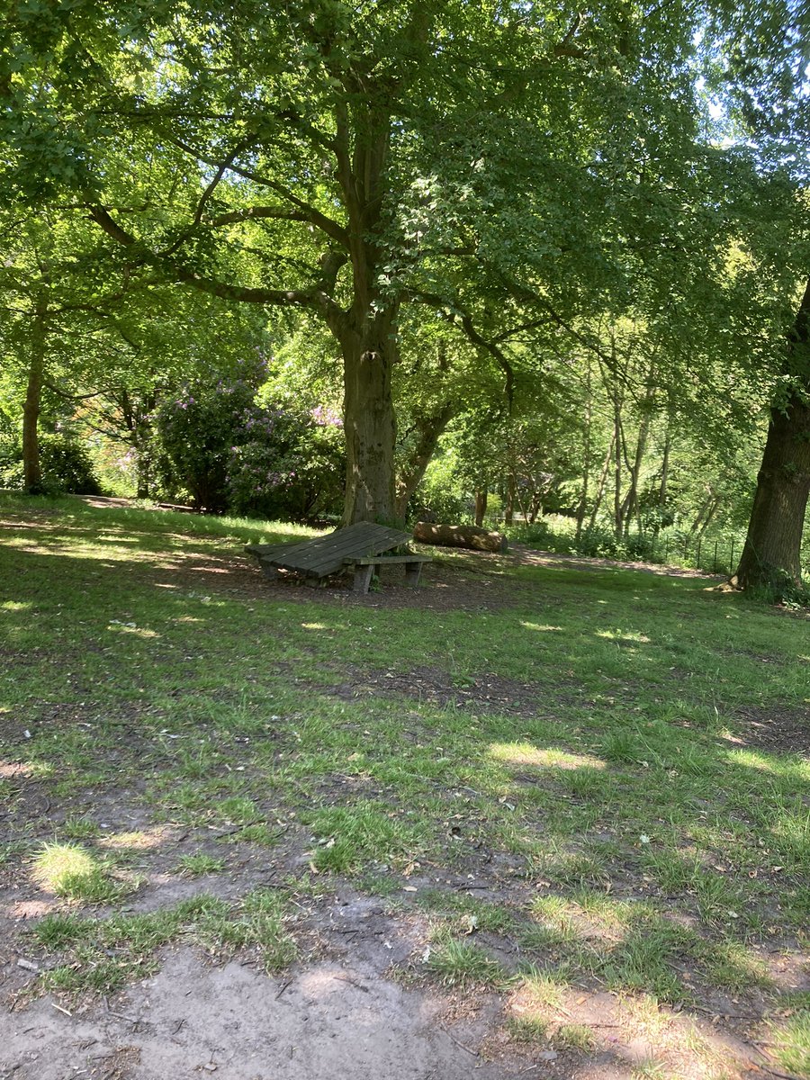 DesIPPresents's tweet image. Sometimes you have to say to yourself today is just for me.