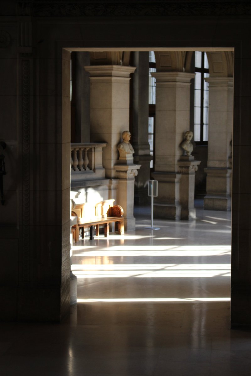 Look back to the kick-off meeting of PITOR, the Paris Institute for Transplantation &amp; Organ Regeneration, at the historic <a href="/univ_paris_cite/">Université Paris Cité</a> premises. This institute brings together over 40 teams and aims to strengthen 🦾 collaborations between research and clinical teams. 🚀