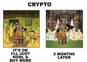 True or False?