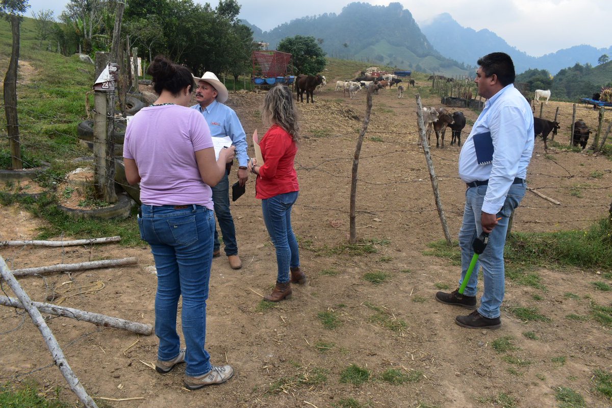 cefpphidalgo's tweet image. El grupo revisor del SENASICA y APHIS-USDA, acudió al Centro de Acopio de SuKarne, ubicada en la Región clasificación nivel III en Tuberculosis Bovina (Mycobacterium bovis)
