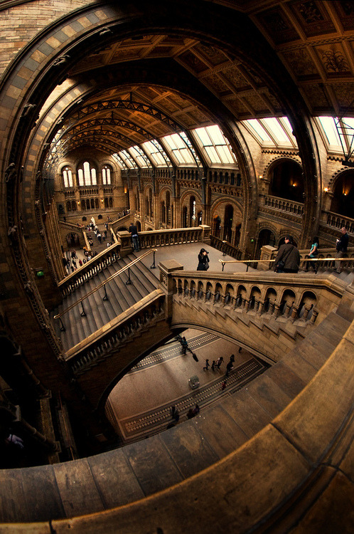 Stairs, Natural History Museum, London #Stairs #NaturalHistoryMuseum #London mayawardle.com