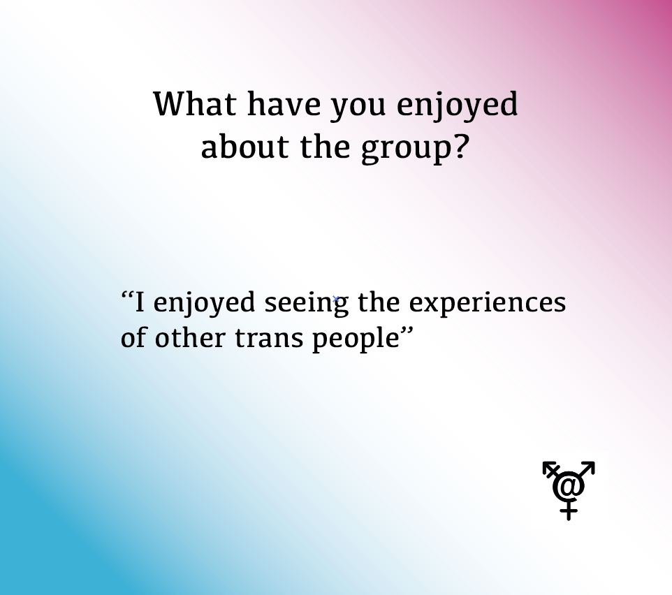 TransSocialMediaProject tweet media