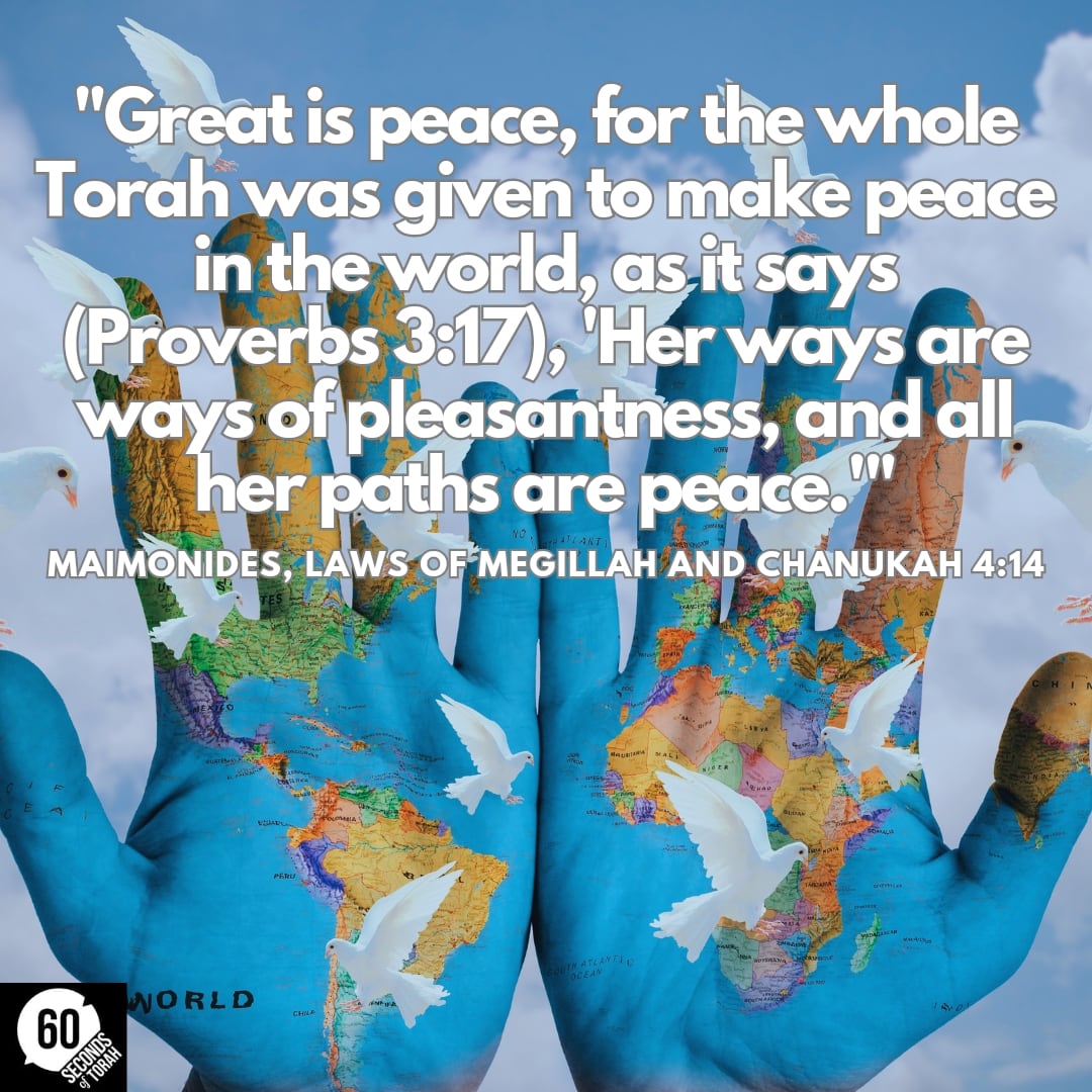 #jewishtwitter #jewish #torah #judaism #peace #tanach #proverbs #maimonides #rambam #rabbirafimollot #everybodysrebbi