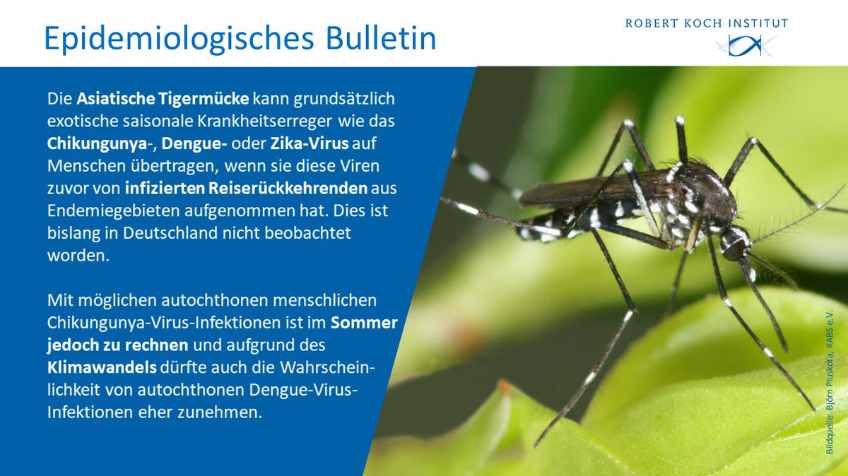 rki_de tweet picture