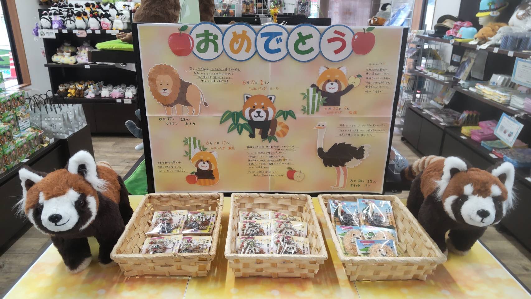 周南市徳山動物園　レッサーパンダ　キーホルダー　山口県　刺繍　zoo　ルールー 周南市徳山動物園 レッサーパンダ キーホルダー 山口県 刺繍 zoo