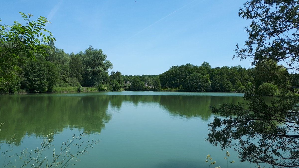 EricDancoisne's tweet photo. Vue des ruines de l'abbaye de #Vauclair depuis le fond de l'étang... https://t.co/bnavqVn459