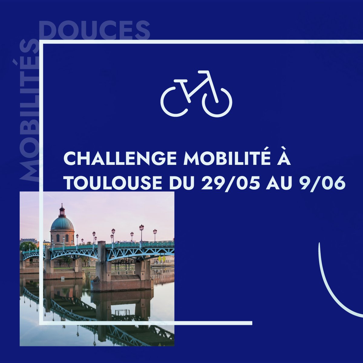 INDIGO Group tweet media