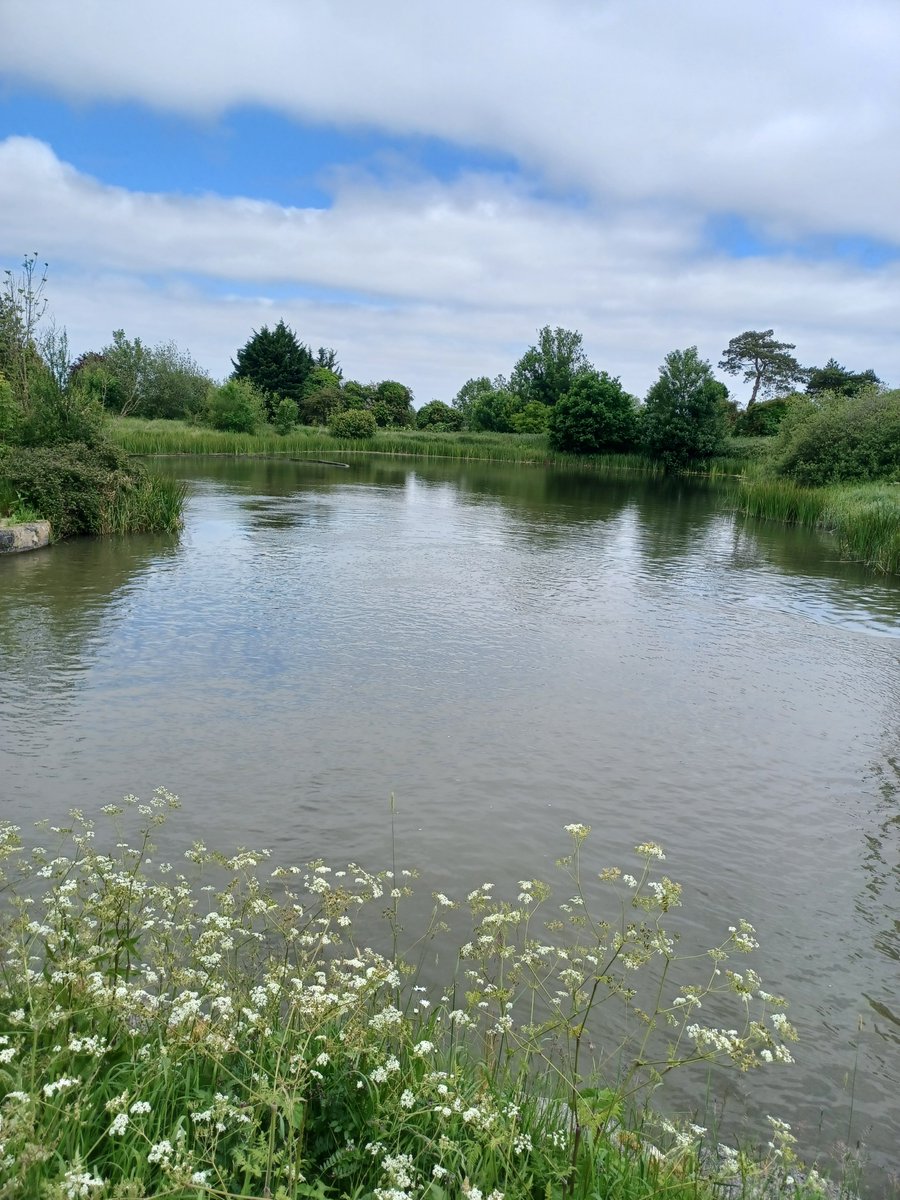 No work today & to keep the leg moving & the miles ticking over, opted for a 9mile walk to Rowde & back up Caen Hill locks & our stunning canal!  Nice cuppa & cake at the canal cafe!! #ukrunchat #running #walking #GoTrace @KennetAndAvon @CanalRiverTrust #injury ❤️❤️☀️