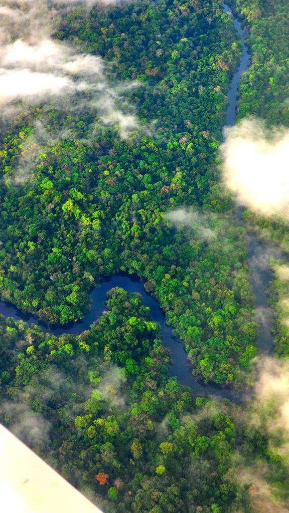 yulderj's tweet image. visita a  #SolarCommunityHub la iniciativa de Dell, Intel y Computer Aid que le trae beneficios ambientales, sociales y económico a las comunidades. De Boa Esperança en el Amazonas de Brasil
@DellnoBrasil @Dell @intelbrasil @intel @computeraid