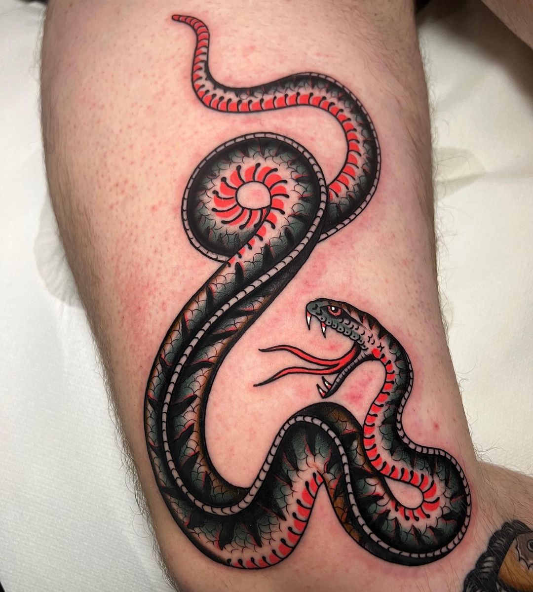 Tattoo tagged with 3d blue red snake  inkedappcom