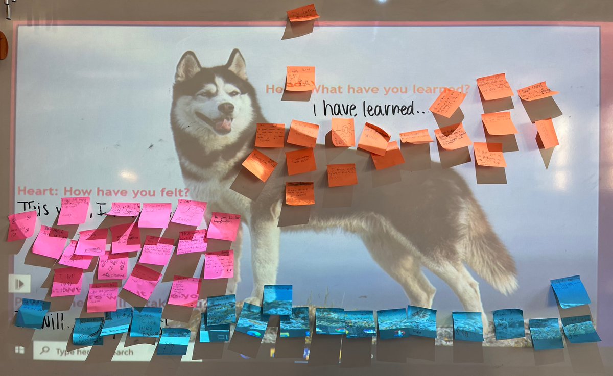 DoLikeDewey's tweet photo. HUSKY-fied the classic “Head 👤, Heart ❤️, Hands 🤲🏾” reflection protocol.

🐺 What have you learned?
❤️ How have you felt?
🐾 Where will it take you?

@BISHuskyPride #LastDayOfSchool https://t.co/JuiqkmSvkm
