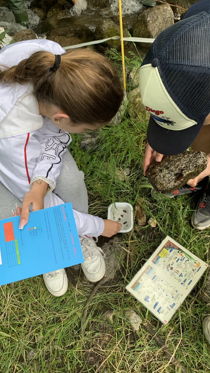 CdA Valls d'Àneu tweet media