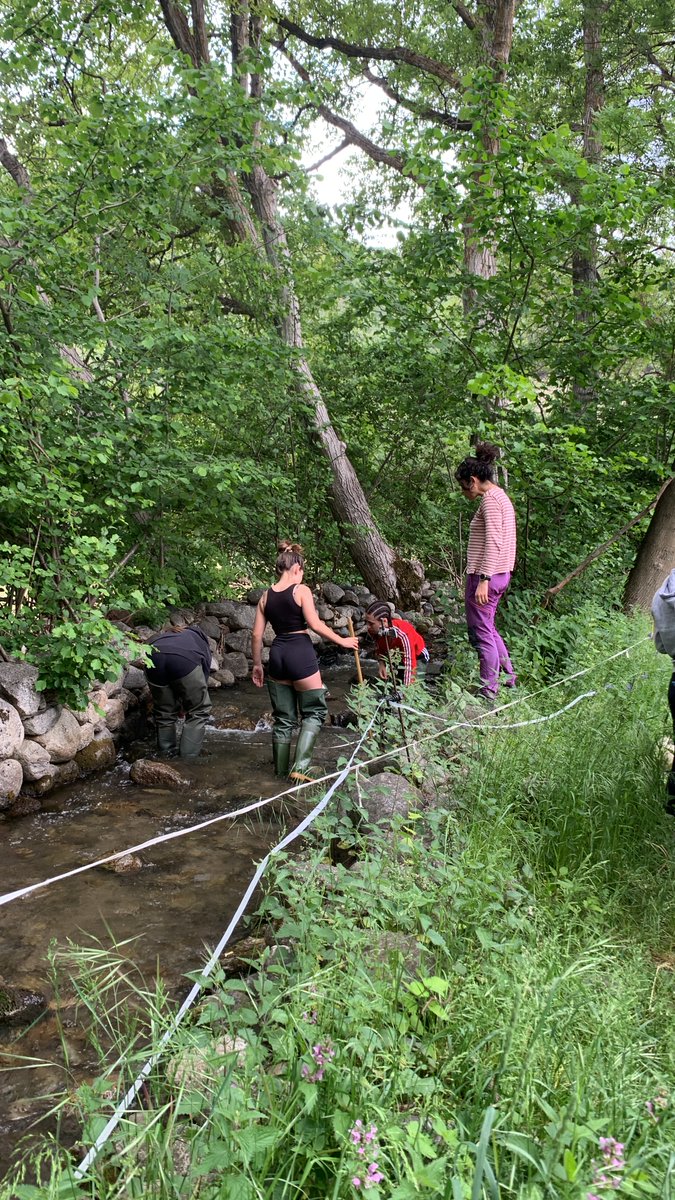 CdA Valls d'Àneu tweet media