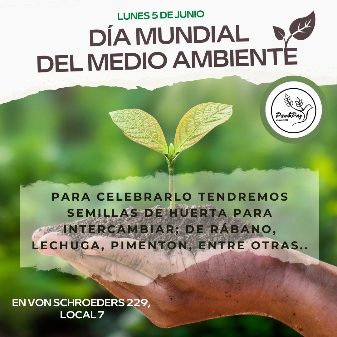 panpazartesanal's tweet photo. Este lunes tendremos semillas para intercambio en Pan&amp;Paz para celebrar el día del medio ambiente, porque todos podemos ser parte de la solución 💚 más verde para el mundo! Inicia tu huerta, prefiere alimentación basada en plantas 🌱🕊️ #semillas #medioambiente #huerta #panaderia https://t.co/d8KSwaX0SO
