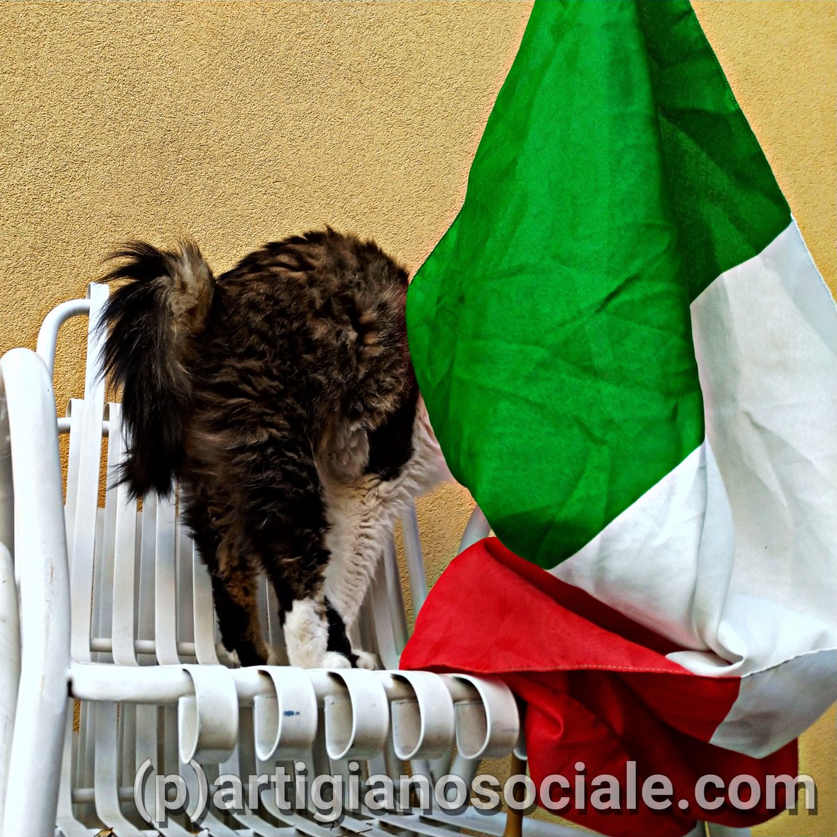 Non è mai utile nascondere la testa sotto la sabbia, ma nemmeno dietro una bandiera...

#puntidivista
Buona #festadellarepubblica 🇮🇹