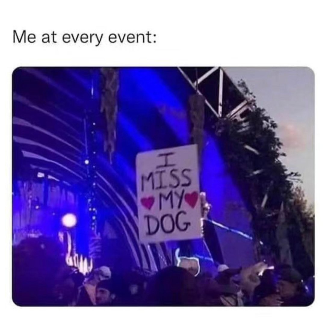 Fur The Brand tweet media