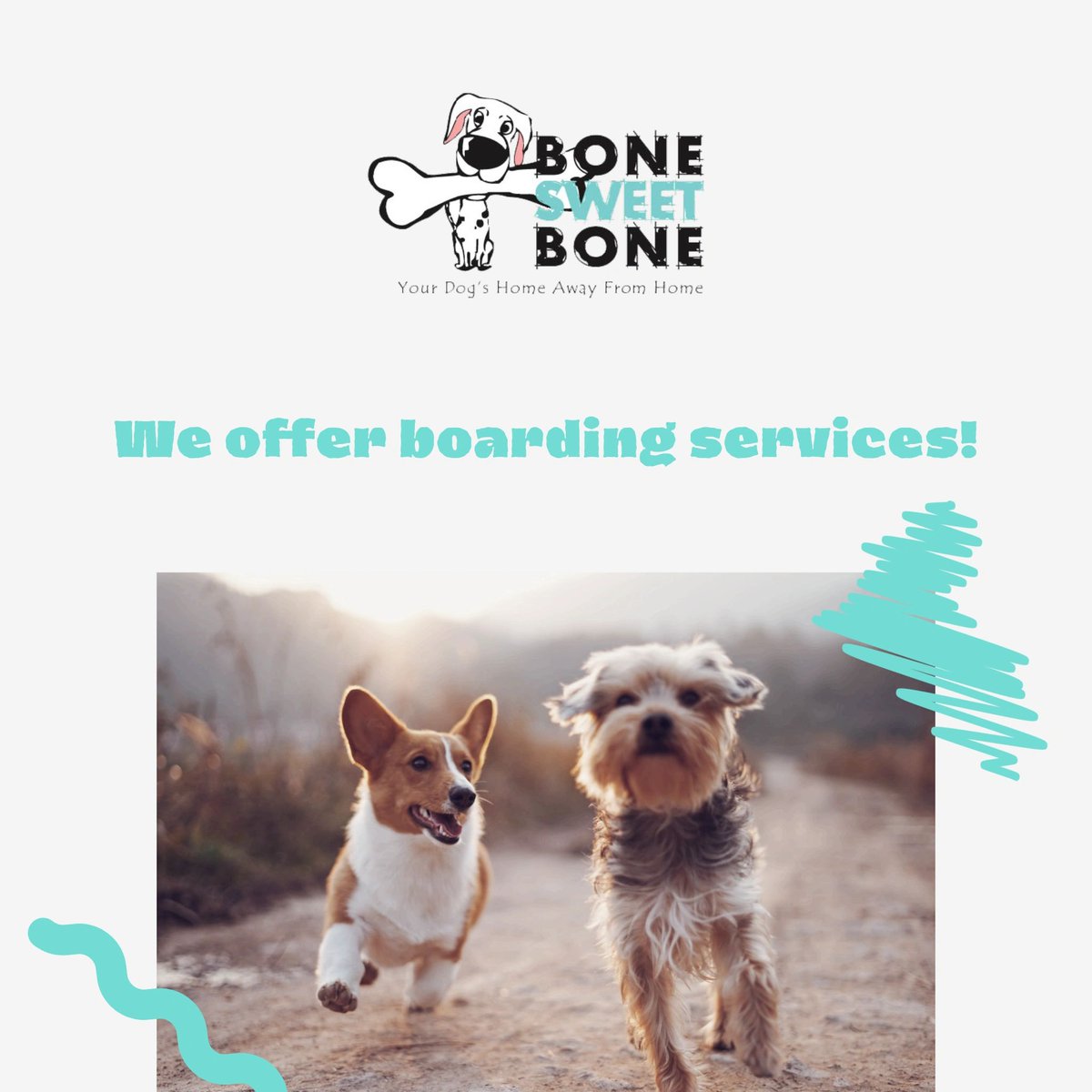 It is our mission to create a safe, fun, and interactive “home away from home” for dogs to come and play while their owners are away. Give us a call to make your reservation today: (323) 669-7904.
#BoneSweetBone #StudioCity #WoodlandHills #DowntownLA #DTLA #SilverLake