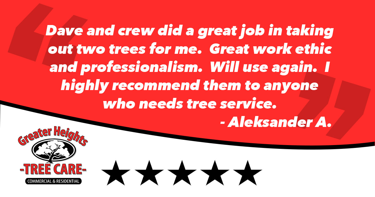 When our customers recommend us...

we know we are doing something right!

#treeremoval #treeservice