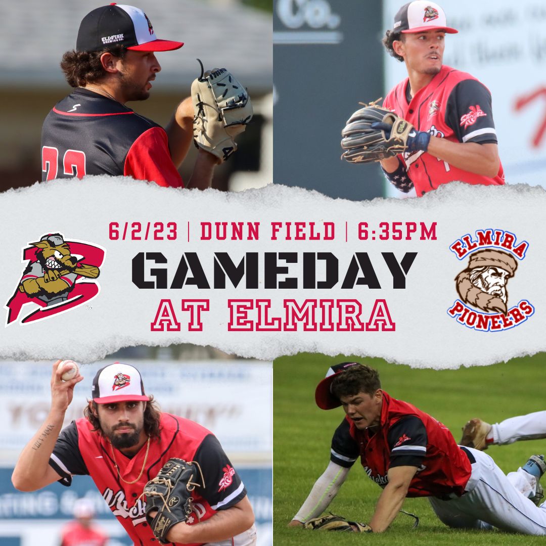 Batavia Muckdogs Baseball tweet media