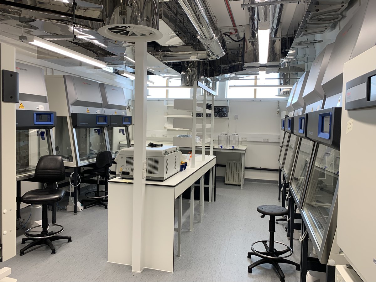 Pines lab tweet media