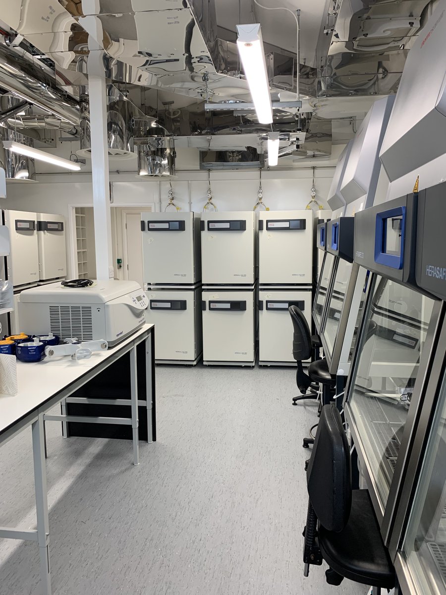 Pines lab tweet media