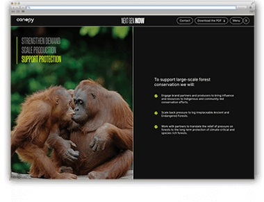 Unsere WdW KW23
r-u-r.com/dialog/website…
Unsere heutige Website der Woche ist dem Thema #Wald- und #Klimaschutz gewidmet. Der Organisation #Canopy versucht die beste Lösung für den Schutz unseren Planeten zu finden. Für einen guten Zweck, unsere #WebsitederWoche!