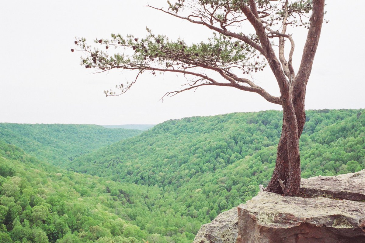 Overlook at Raven’s Point, along Fiery Gizzard Trail. 
Nikonos V / Portra 800