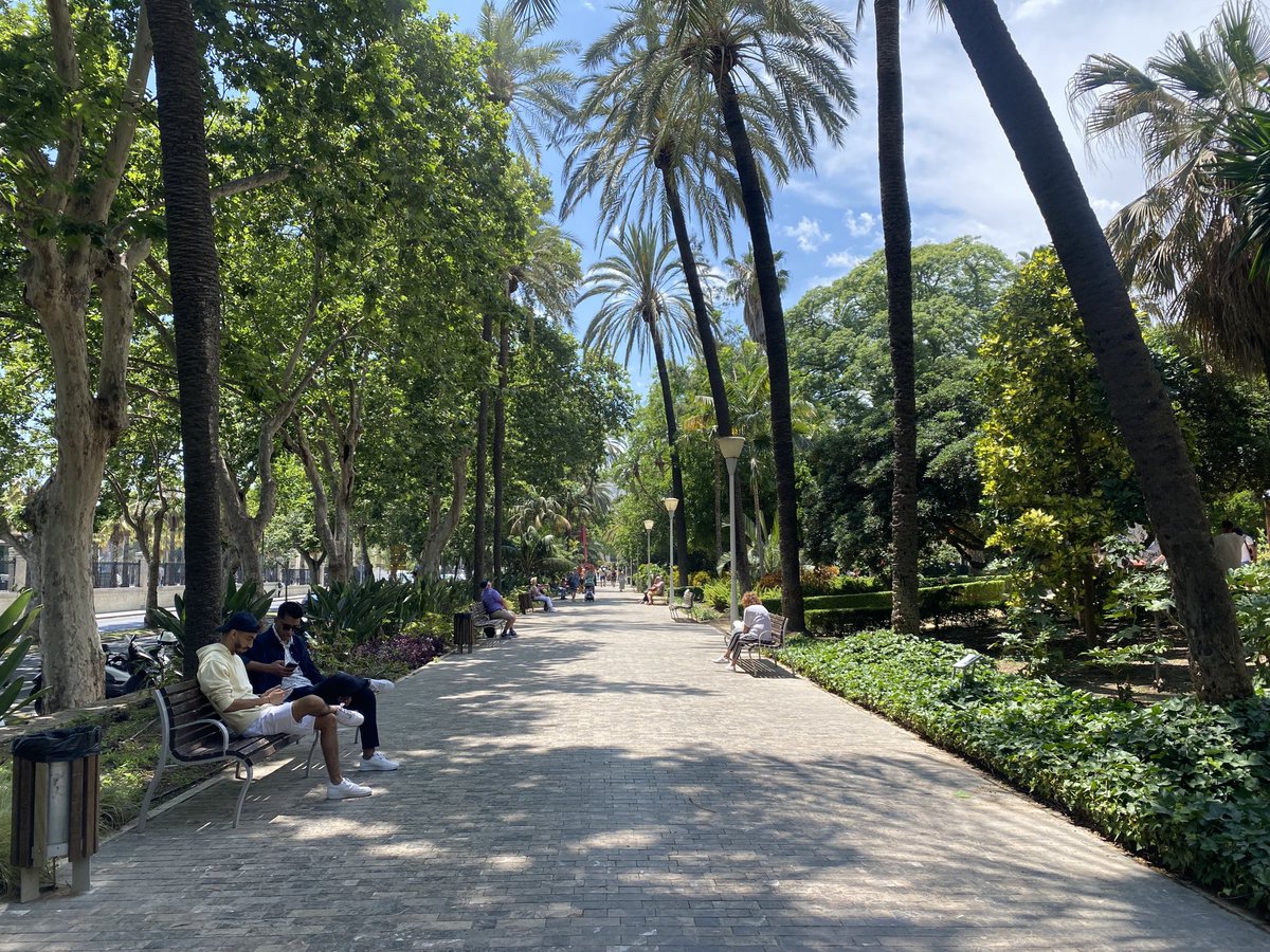 pilarrquiros's tweet photo. El paseo de España del #Parque de #Málaga, aunque la gente lo conoce por el paseo que está pegao al puerto, el del paseo de los Curas. Hace tres grados menos; sin exagerar. 😍 https://t.co/oCr8rI8VFE