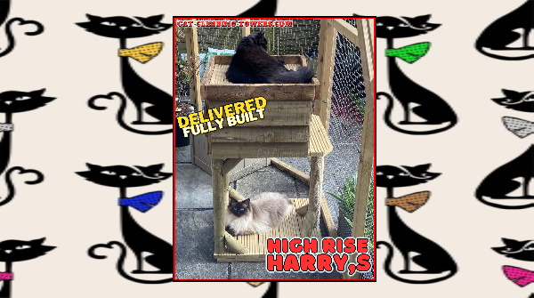 Hi Dave,

The cats really love the tower - and spend much of the day on it or scratching it!

Many thanks for making it.

Robin

#catframes #CatsOfTwitter #cats #cat #catenrichment #catquiz #catoftheday #cattoys #catsofinstagram #kittens #safecat #catenclosure  #advert