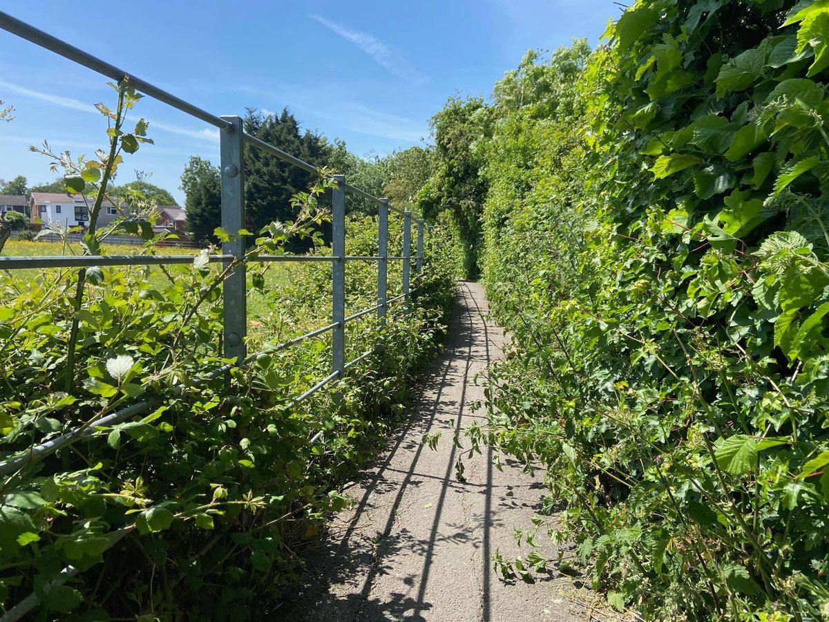 jayderham's tweet image. The hedges are becoming a bit overgrown along the top of the ash path between Dinas Powys and Penarth. Could this are be looked at please @VOGCouncil