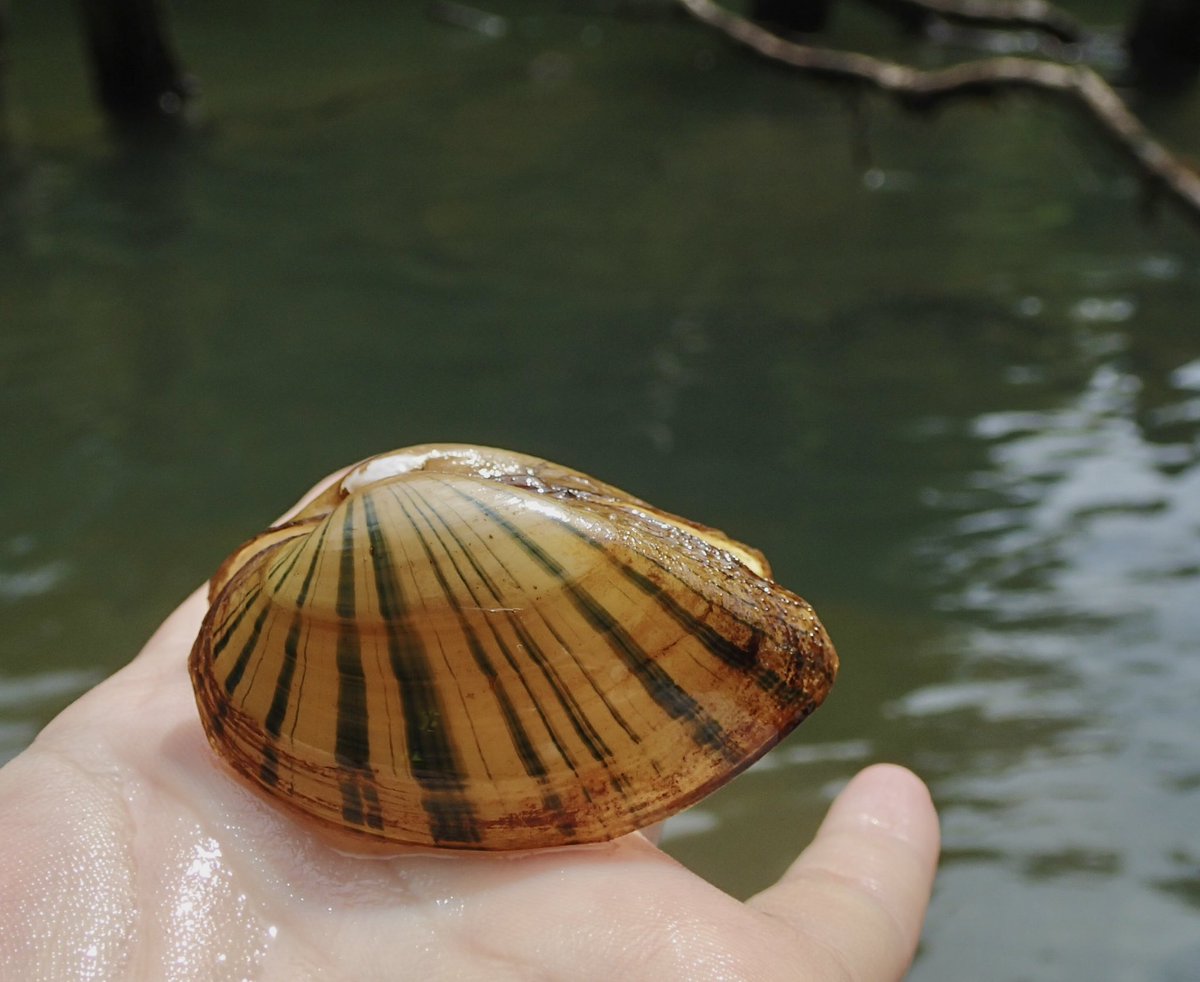 Caitlin Sweeney tweet media