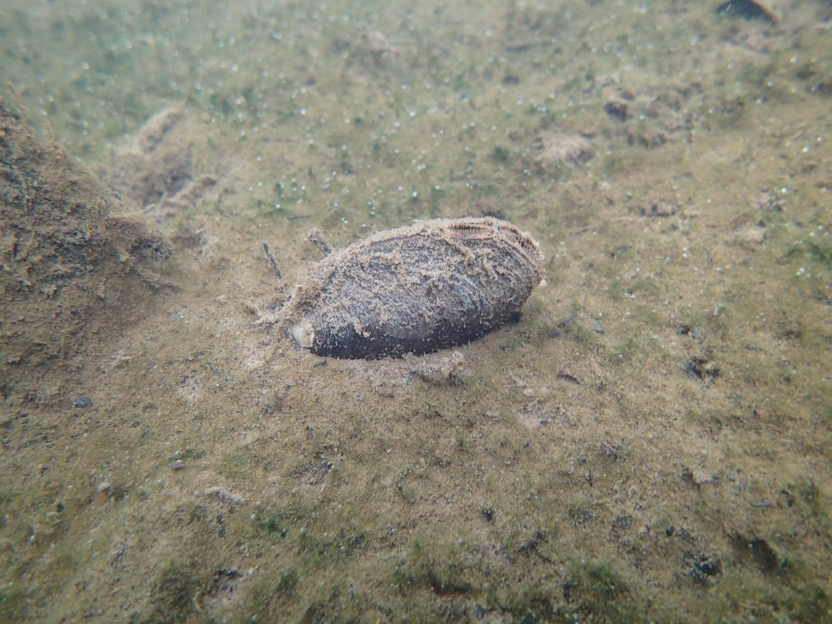 Caitlin Sweeney tweet media